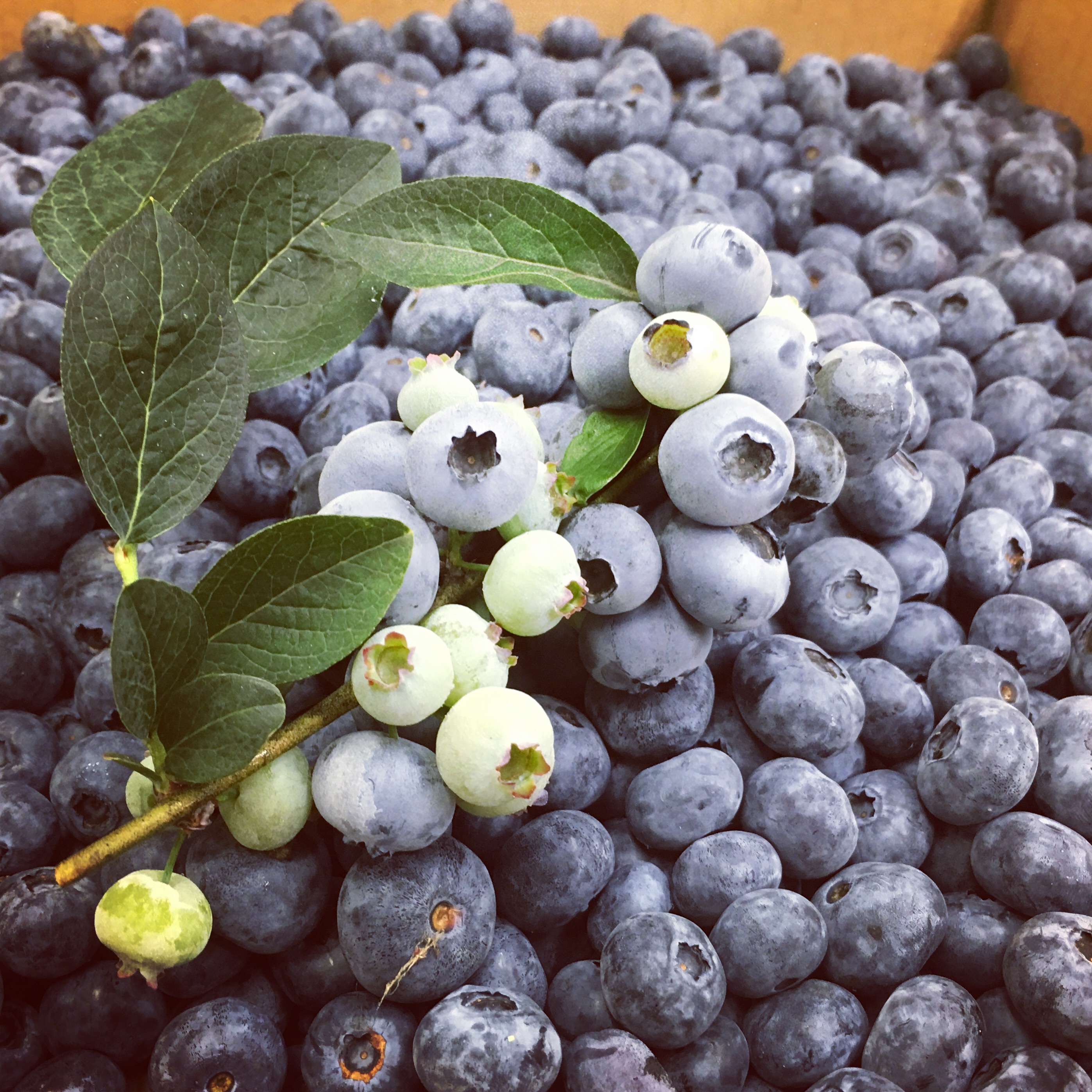 【4,000円分】お買い物クーポン