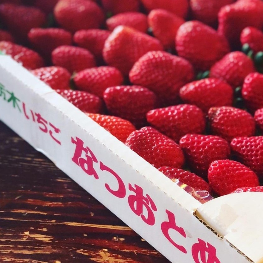 【4,000円分】お買い物クーポン